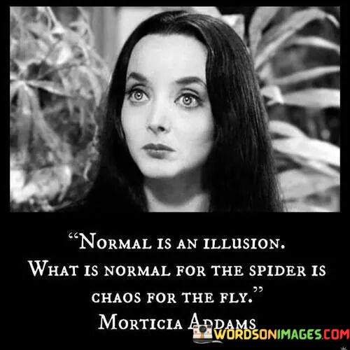 Normal-Is-An-Illusion-What-Is-Normal-For-The-Quotes.jpeg