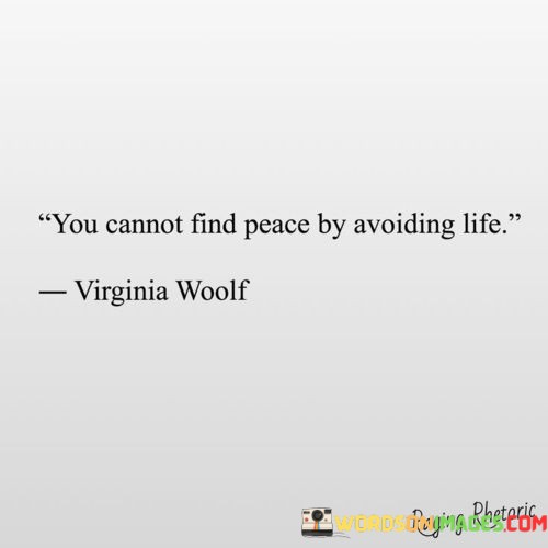 You-Cannot-Find-Peace-By-Avoiding-Life-Quotes.jpeg