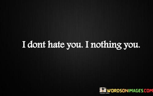 I-Dont-Hate-You-I-Nothing-You-Quotes.jpeg