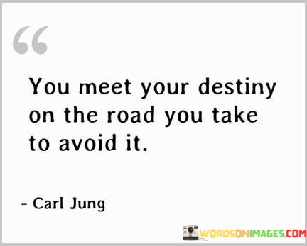 You-Meet-Your-Destiny-On-The-Road-You-Take-To-Avoid-It-Quotes.jpeg