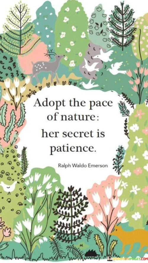 Adopt-The-Pace-Of-Nature-Her-Secret-Is-Patience-Quotes.jpeg