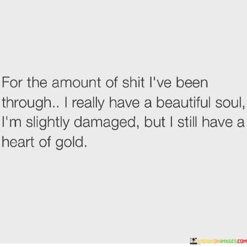 For-The-Amount-Of-Shit-Ive-Been-Through-I-Really-Have-A-Beautiful-Quotes.jpeg