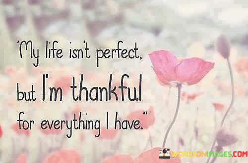 My-Life-Isnt-Perfect-But-Im-Thankful-For-Everything-I-Have-Quotes.jpeg