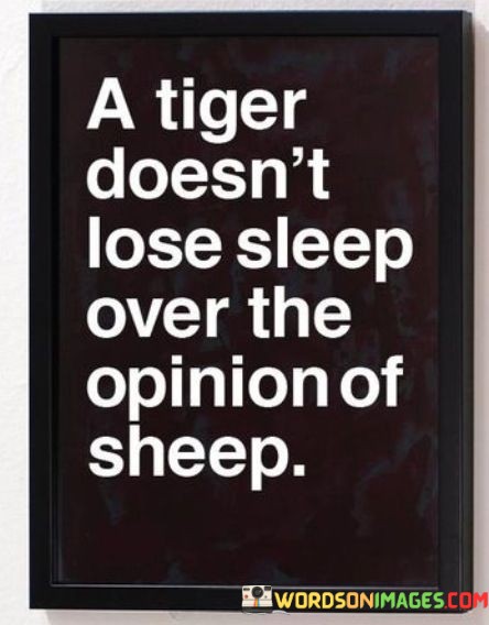 A-Tiger-Doesnt-Lose-Sleep-Over-The-Opinion-Of-Sheep-Quotes.jpeg