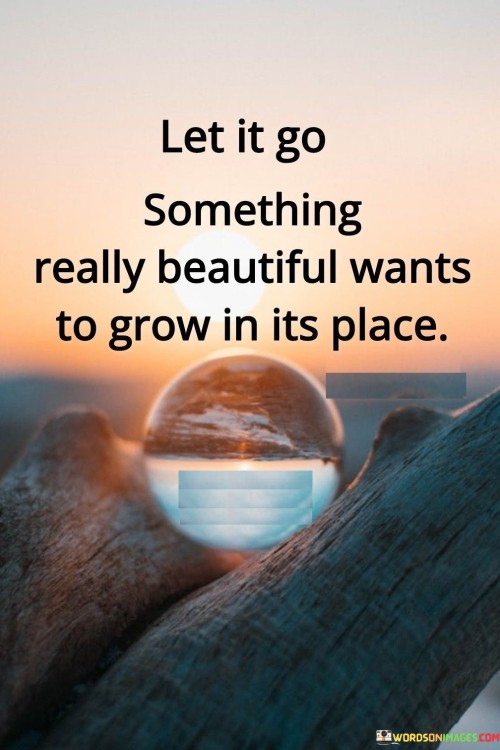 Let-It-Go-Something-Really-Beautiful-Wants-Quotes.jpeg
