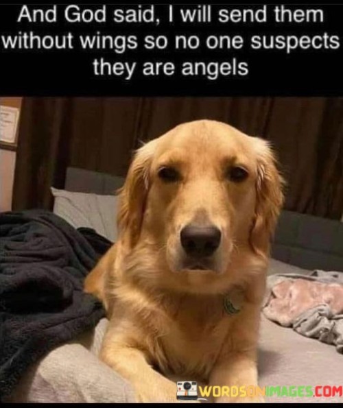 And-God-Said-I-Will-Send-Them-Without-Wings-So-No-One-Suspects-They-Are-Angels-Quotes.jpeg