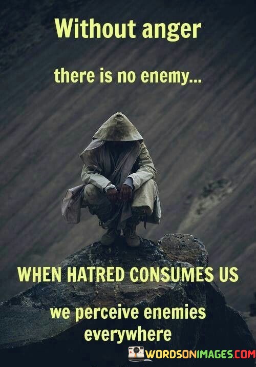 Without-Anger-There-Is-No-Enemy-When-Hatred-Consumes-Us-We-Perceive-Enemies-Quotes.jpeg