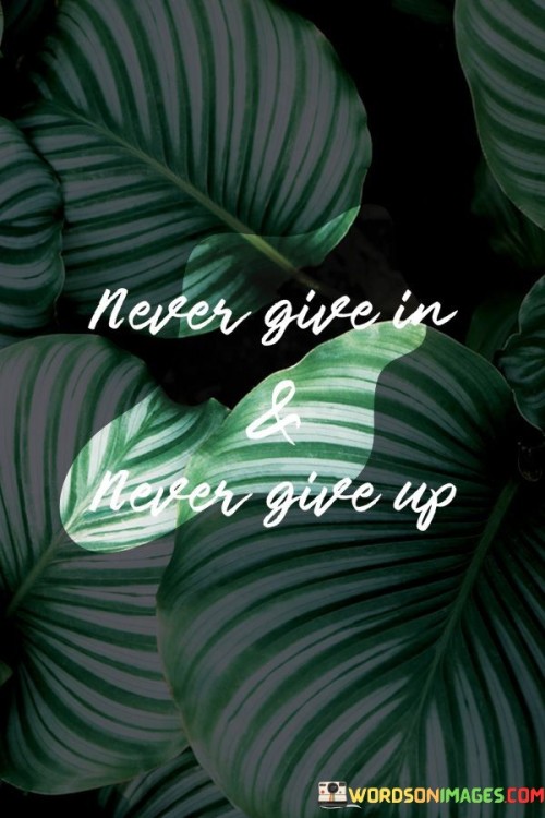 Never-Give-In--Never-Give-Up-Quotes.jpeg