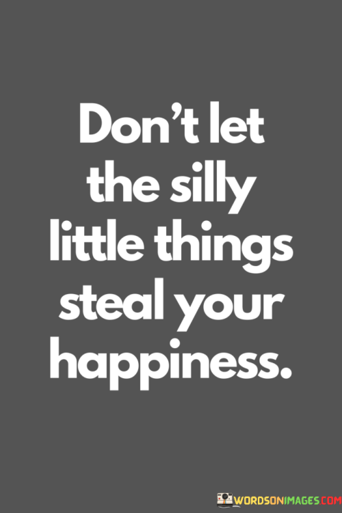 Dont-Let-The-Silly-Little-Things-Steal-Your-Happiness-Quotes.png