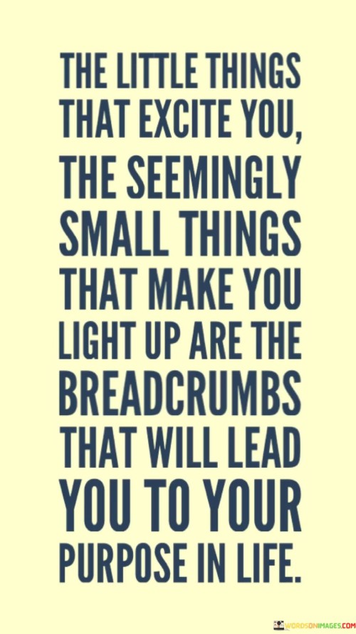 The-Little-Things-That-Excite-You-The-Seemingly-Small-Things-Quotes.jpeg